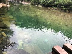 -石台牯牛降景区