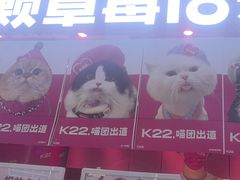 -K22.酸奶草莓(长春上海路万达店)