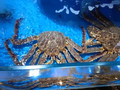 -张家卫·阳江菜·小海鲜(肥婆湾桥店)