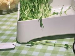 -番食园鲜食火锅(高新店)