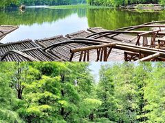 -尚湖风景区