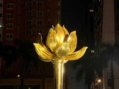 -金莲花广场
