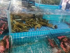 -渔人湾码头海鲜市场负二楼