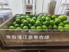 -introlemons(北京西单更新场店)