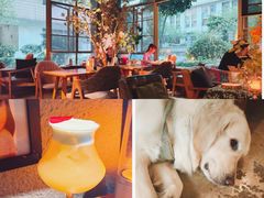 -咖法森林·咖啡  酒吧(天河店)