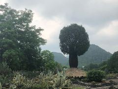 -Club Med地中海俱乐部·桂林度假村