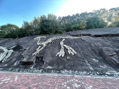 -哈尔滨北方森林动物园