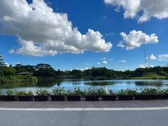 -福田红树林生态公园