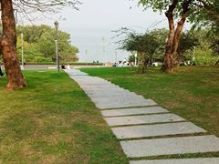 -深圳湾公园(南山区)