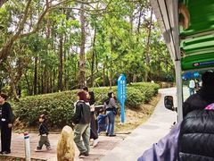 -广东惠东海龟国家级自然保护区