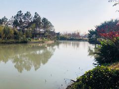 -三垟湿地