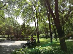 -玲珑塔公园