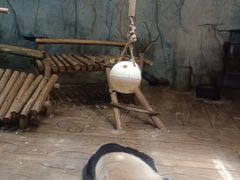 -深圳野生动物园