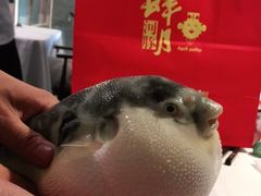 -肆月河豚·新淮扬(金融街店)