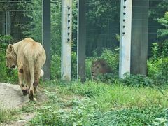 -西安秦岭野生动物园