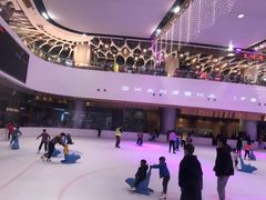 -TheRink大零溜冰场(IFS国金中心店)