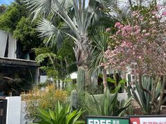 -自由生长植物工作室(深港花卉中心店)