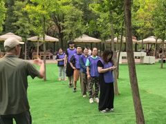 -桔子文创·企业团建·活动策划·拓展会议