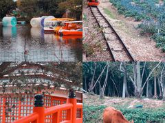 -丹樱生态园