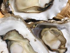 蒸汽生蚝-蟹记蚝宅(柯桥兴越路店)
