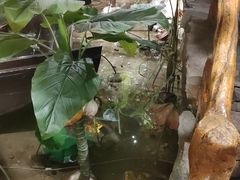 -城墙拐拐火锅(三峡广场黑金冠店)