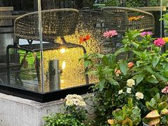 -蘇河湾·新鲁菜·泰山宴(泰山店)