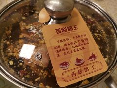 -百利鸽王(紫薇路店)