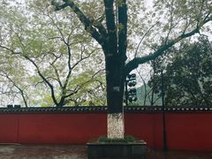 -白帝城·瞿塘峡景区