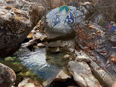-稻城亚丁景区-冲古草甸