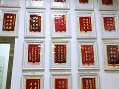 -利又安动物医院··老年病·猫科犬科·中兽医