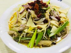 -马黑哥椒麻鸡(清江山水店)