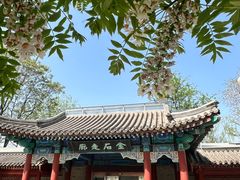 -北京石刻艺术博物馆(五塔寺)