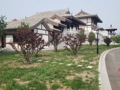-呼兰河口湿地公园