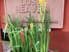 -花马天堂云南餐厅 Lost Heaven(外滩店)