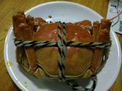 -乡乐园蟹庄·阳澄湖农家乐