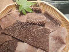 -蘑界·野生菌火锅(深业上城店)