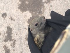 -鄂尔多斯野生动物园