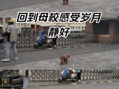 -上海市曹杨职业技术学校