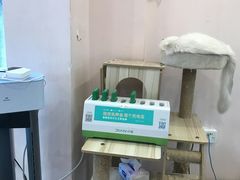 -猫咪派对(江南西店)