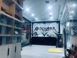 -DEM缔怡美科技美容