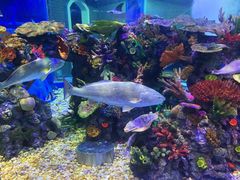 -成都浩海立方海洋公园