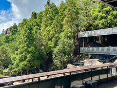 -玉苍山国家森林公园