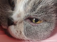 -嘉馨宠物医院·CT影像转诊·心脏科·犬猫全科诊疗中心(下沙大学城院区)