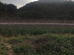 -清溪大王山森林公园