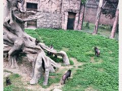 -南昌动物园