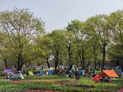 -秀丽东方