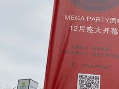 -MEGA PARTY CLUB