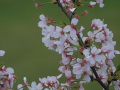 -徐家汇公园