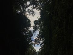 -永泰中国云顶