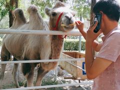 -长白岛森林公园